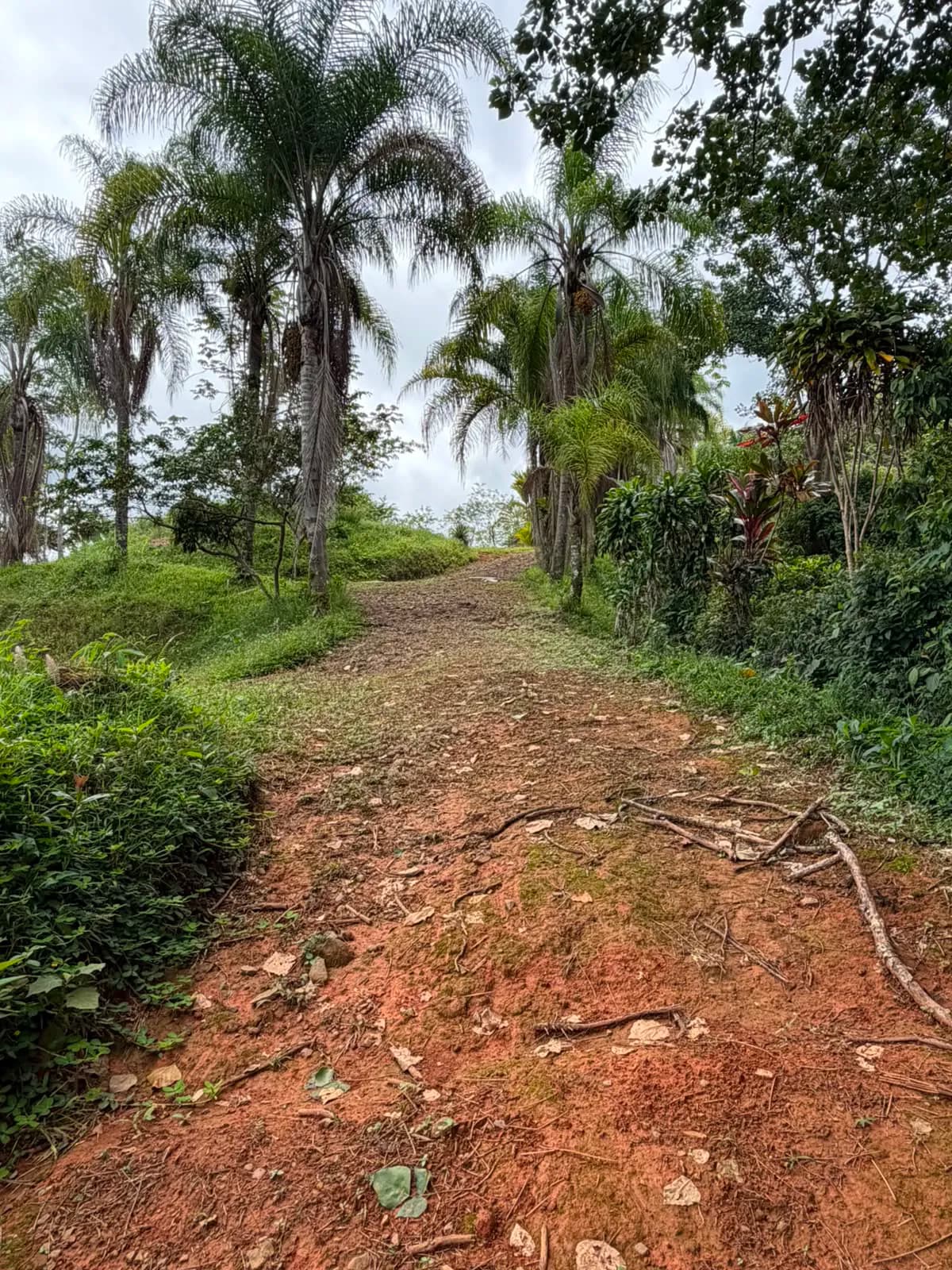 QUINTA #2 en Miravalles — foto 4