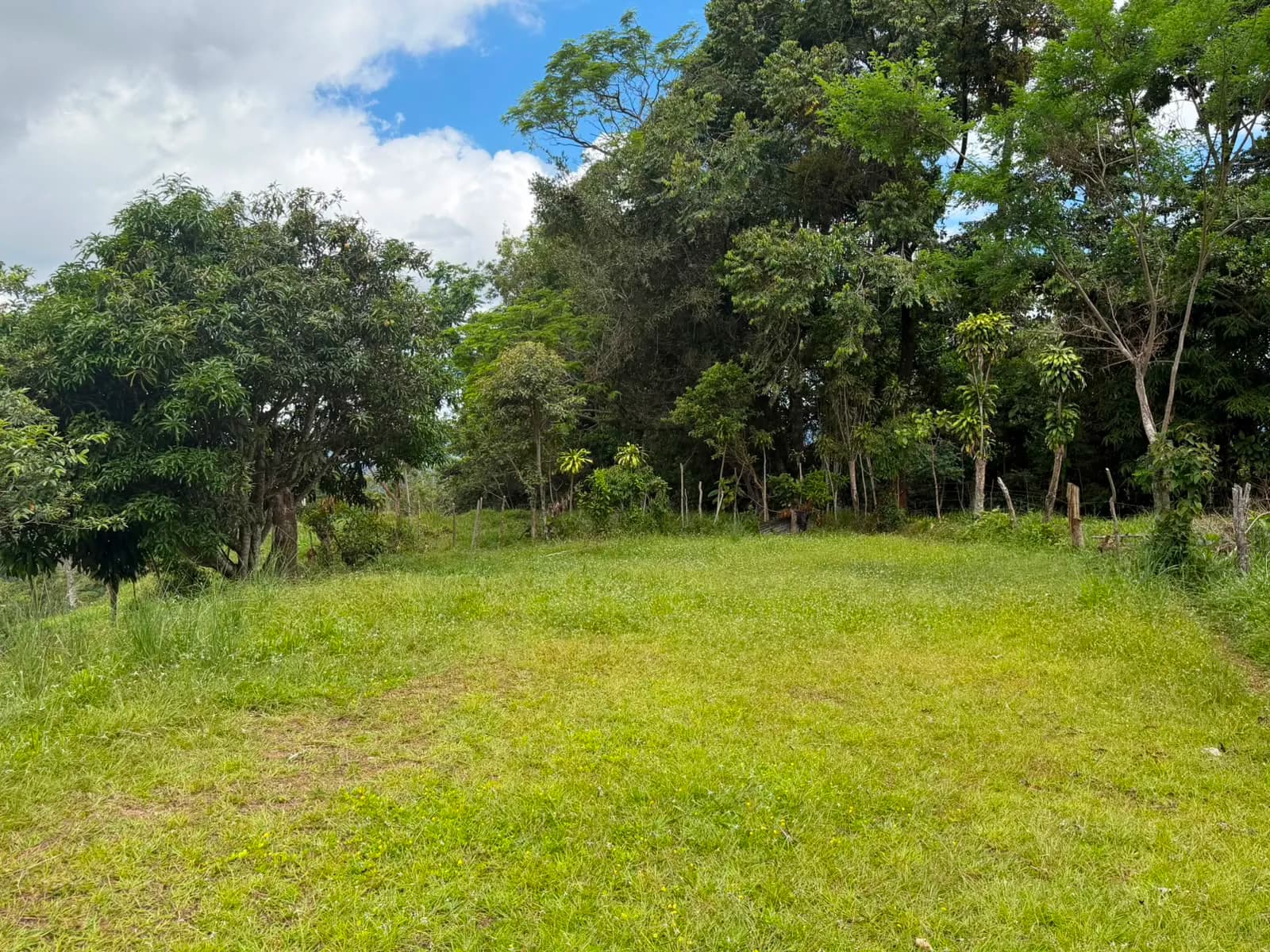 QUINTA #3 en Miravalles — foto 2