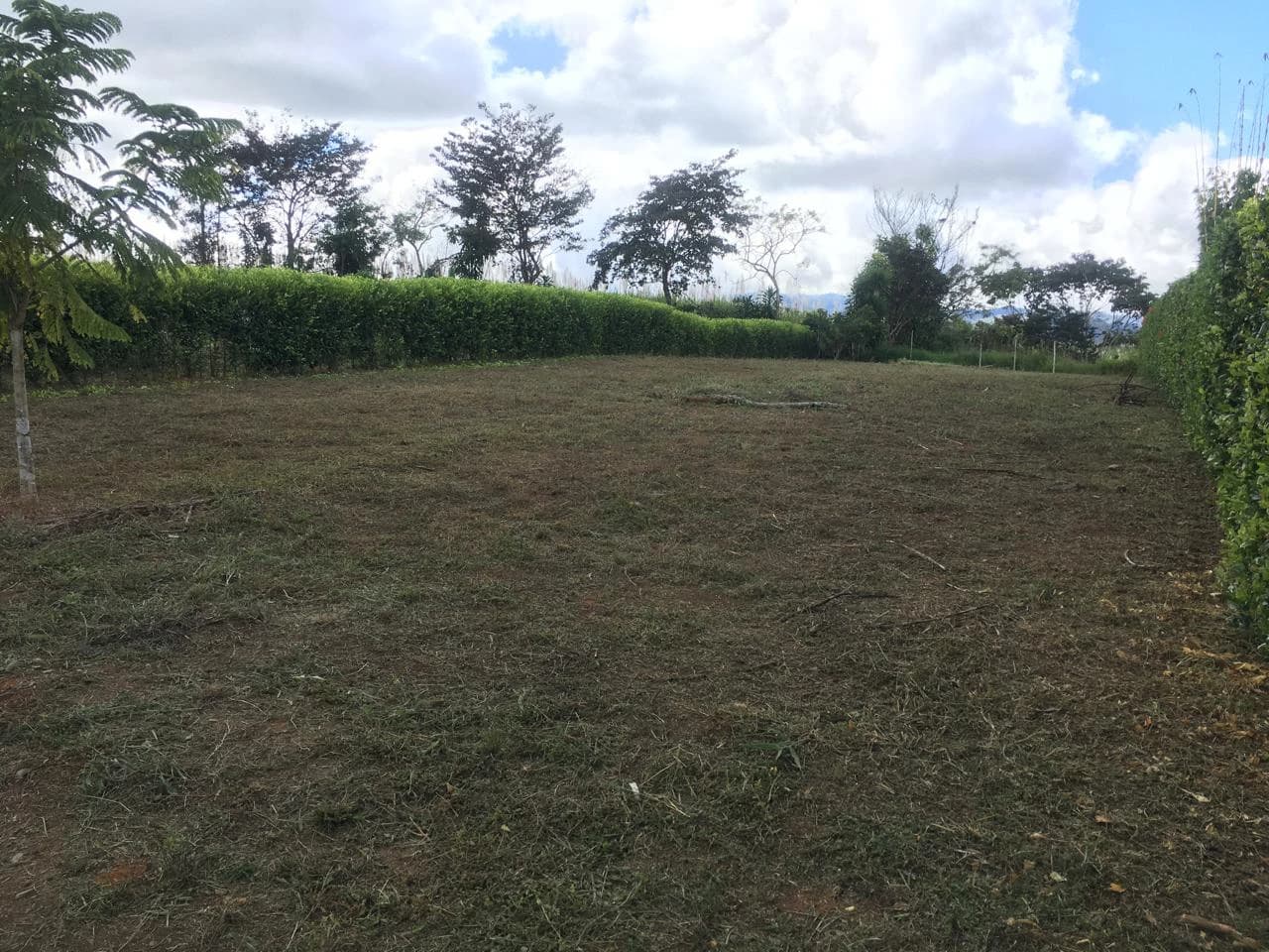 Lote de 730 metros cuadrados en la Ceniza, P.Z