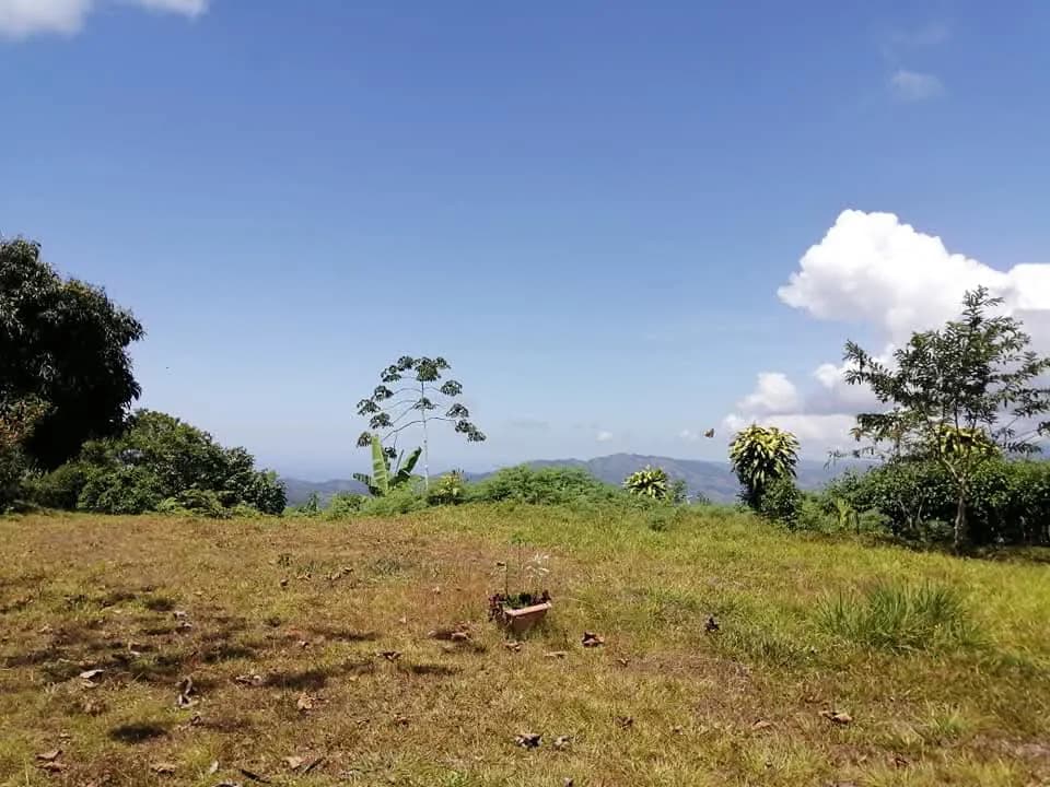 Finca con Vistas Increíbles al Mar y Montañas en La Alfombra de Barú — foto 5