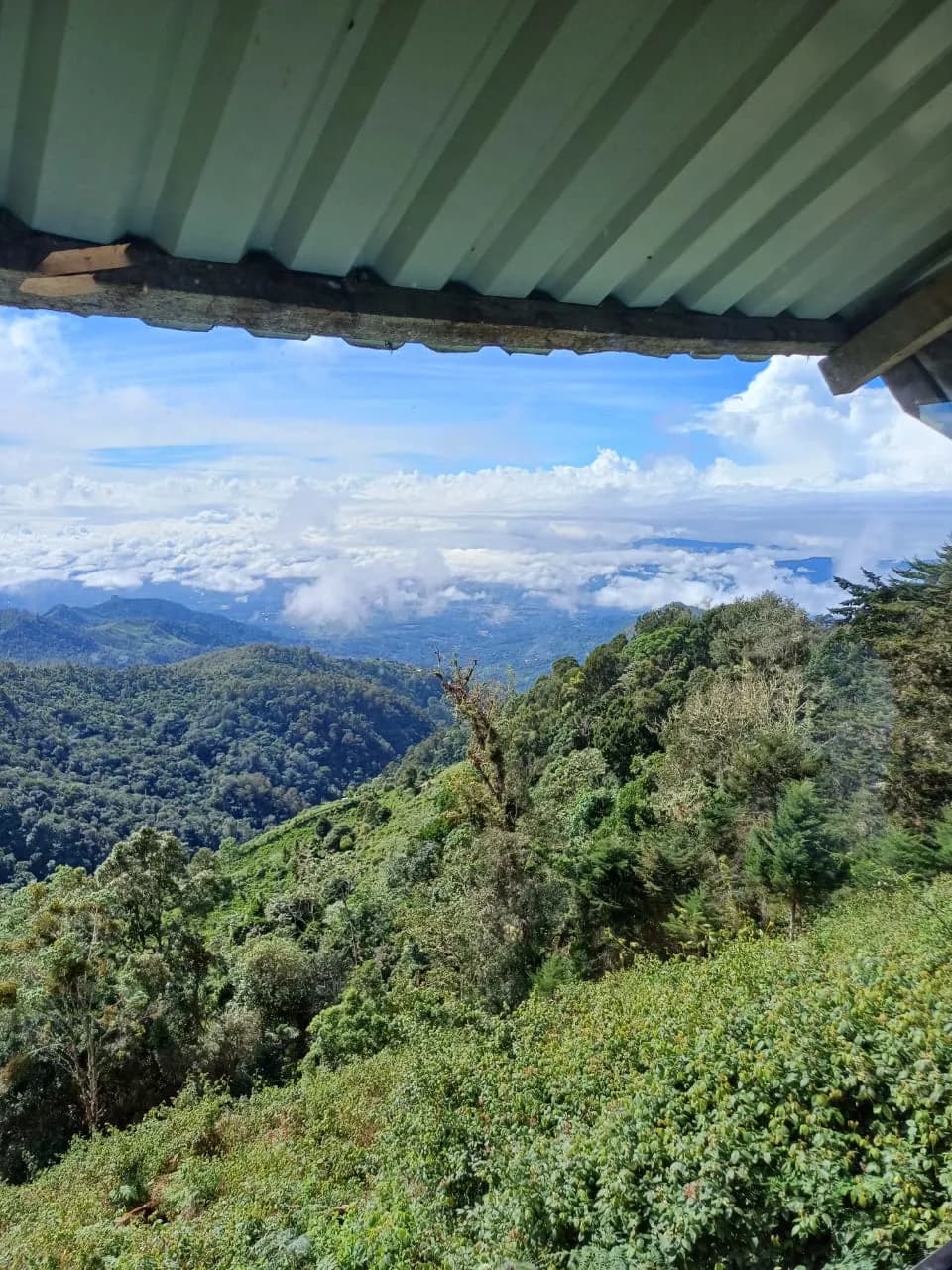 Finca ubicada en Campamento Vargas de Páramo PZ
