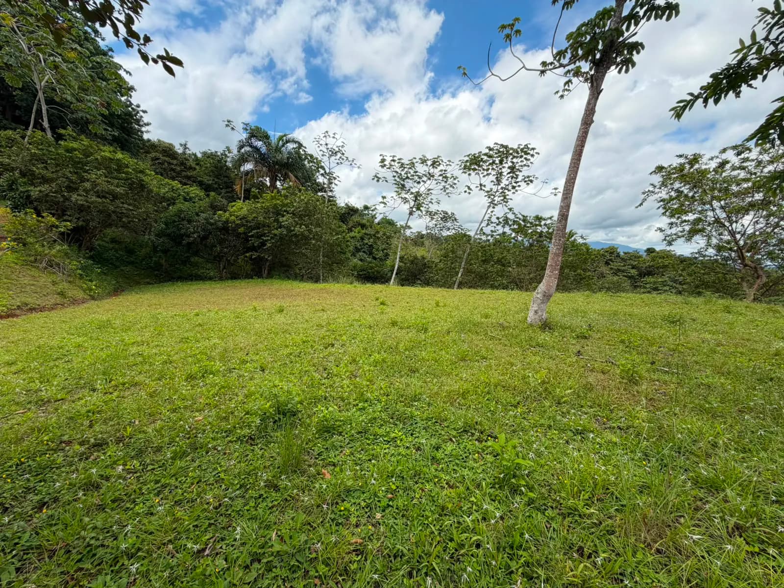 QUINTA #2 en Miravalles — foto 2