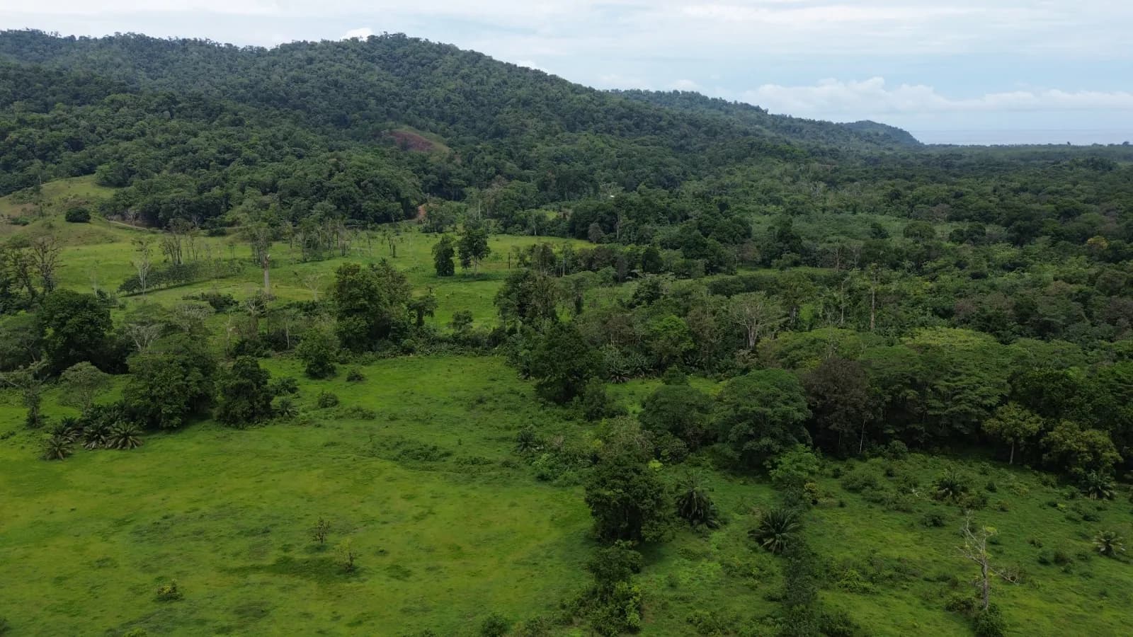 Finca Extraordinaria de 84 Hectáreas en Estero Guerra de Sierpe, Osaa — foto 3