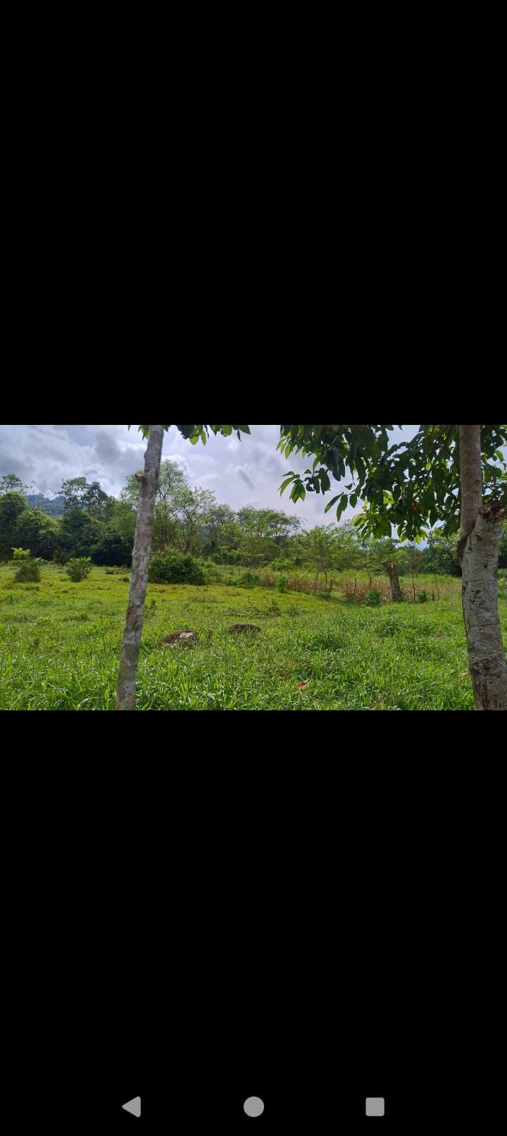 Finca de 4 hectáreas