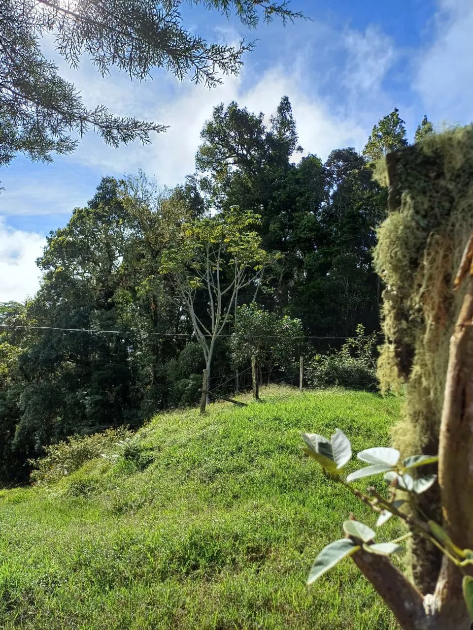 Finca ubicada en Campamento Vargas de Páramo PZ — foto 3