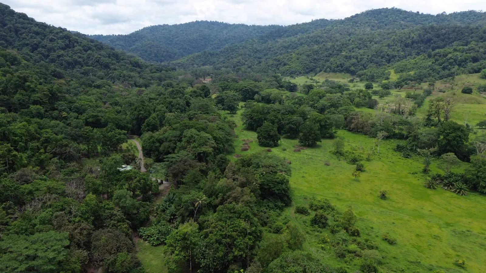 Finca Extraordinaria de 84 Hectáreas en Estero Guerra de Sierpe, Osaa — foto 2