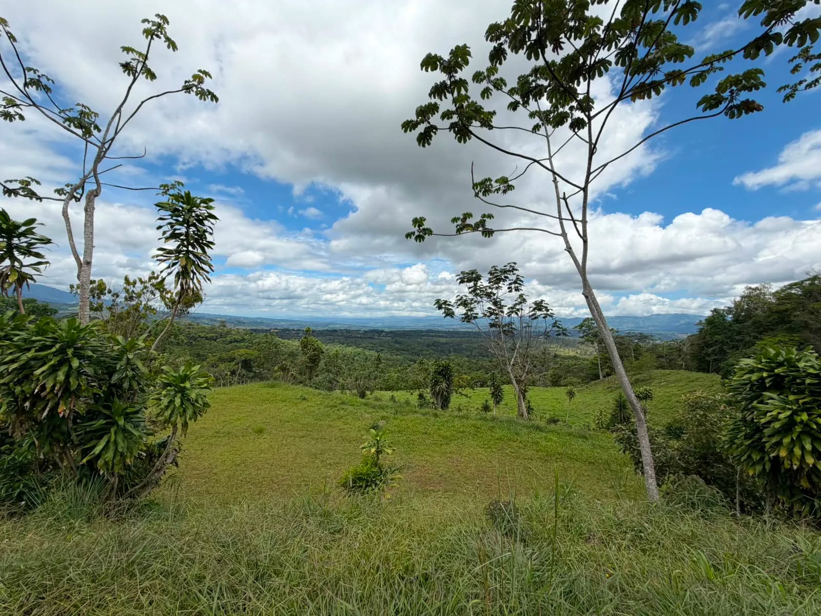 QUINTA #3 en Miravalles — foto 3