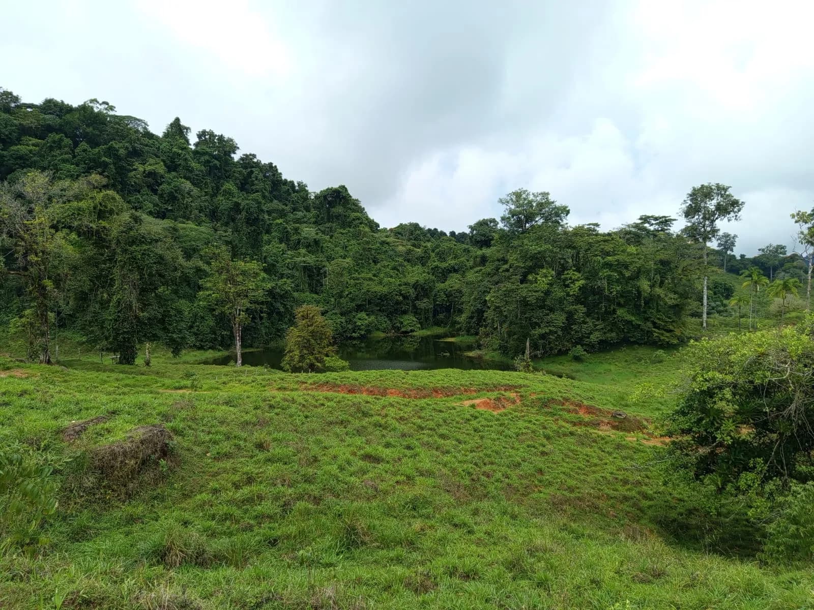 Finca Brujo de Río Nuevo Peréz Zeledón — foto 5